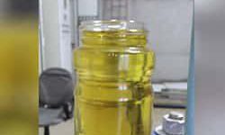 oilseed