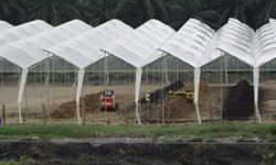 Compost production